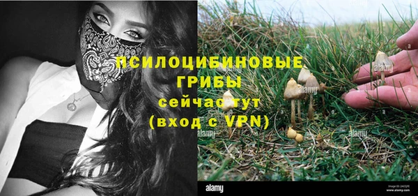 амф Абинск