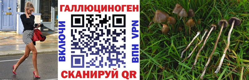 Псилоцибиновые грибы MAGIC MUSHROOMS  Шахты 